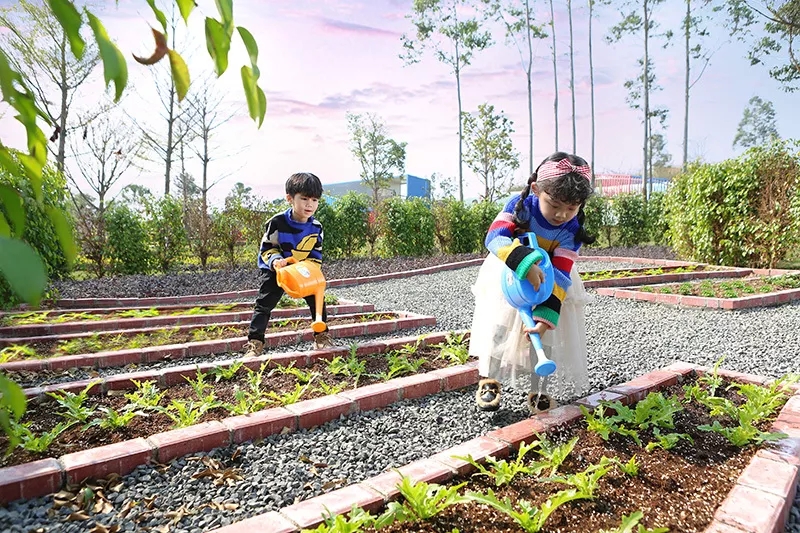 威廉希尔williamhill(中国)-官方网站